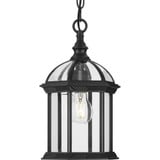 Dillard 1 Light Outdoor Hanging Lantern by Progress - P550122