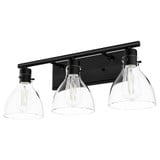 Van Nuys 3 Light Vanity Light by Hunter - 19303