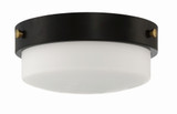 Oak Street 2 Light 11 Inch Wide Flush Mount by Craftmade - X3212