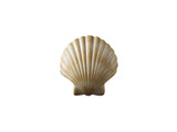 Ambiance 1 Light ADA Scallop Shell Wall Sconce by Justice Design - CER-3730