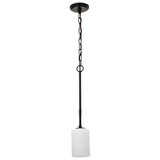 Liam 1 Light Mini Pendant 21.38 Inch Tall and 4.13 Inch Wide by Nuvo - 60/8205