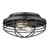 Seaport 2 Light 12 Inch Wide Flush Mount by Golden - 9808-FM