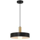 Slate 1 Light Medium Pendant by Access - 23798
