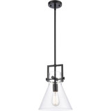 Newton 1 Light Cone Glass Small Pendant by Innovations - 411-1S-10