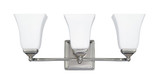3 Light Vanity Light 20 Inch Wide by Capital - 8453