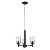 Shailene 3 Light Small Chandelier with Clear Glass by Kichler - 43670C