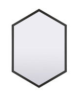 Livvy Mirror 31 Inch Tall and 22 Inch Wide by Canarm - D22H