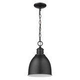 Colby 1 Light Small Pendant by Acclaim - IN11171