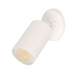 Spots One Light Can Wall/Flush Mount by Maxim - 92010