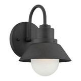 Fripp 1 Light Outdoor Wall Lantern by Acclaim - 4712