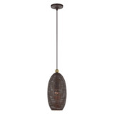 Dublin 1 Light Small Pendant 18 Inch Tall by Livex - 49101