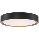 Malaga 40W 1 LED 23.75 Inch Wide Flush Mount by Access - 49972LEDD