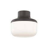 Livvy 1 Light 9 Inch Wide Flush Mount by Mitzi - H144501S