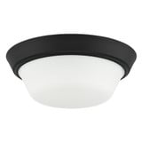Edessa 2 Light Flush Mount 4.25 Inch Tall and 12 Inch Wide by Progress - P350303