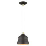 Endicott 1 Light Small Pendant by Livex - 55901