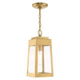 Oslo 1 Light Small Outdoor Pendant by Livex - 20854