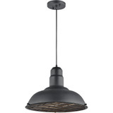 Clarkson Series 1 Light Large Pendant by Matteo - C54111