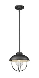 Ansel 1 Light Small Outdoor Pendant by Z-Lite - 590P