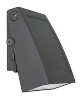 Poly 60W 1 LED Outdoor Wall Sconce 11 Inch Tall and 8.5 Inch Wide by AFX - POLW0911LAJD2
