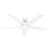 Zayden 5 Blade Ceiling Fan with Light and Remote 52 Inch W by Hunter Fans - 51Z