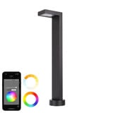 Colorscaping 7W 1 LED Ledge Path and Area Light 24.32 Inch Tall by WAC - 6881-CS