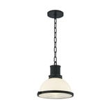 Pinesbridge 1 Light Pendant 10.5 Inch and 10.5 Inch Wide by Hudson Valley - 9309