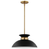 Perkins 1 Light Medium Pendant by Nuvo - 60-74-15W725H15D