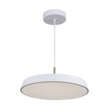 Lexi 32W 1 LED Light Large Pendant by Artcraft - AC6901