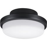 TriAire Custom 18W LED Custom Light Kit 3.48 Inch Tall by Fanimation - LK8514