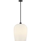 Livingston 1 Light Pendant 22.88 Inch Tall and 16 Inch Wide by Savoy House - 7-7209-1