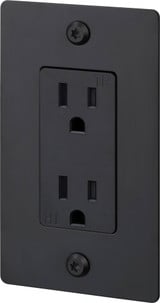 1G Linear Duplex Outlet without Logo 4.75 Inch Tall by Buster Punch - NSC-1G-DO