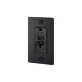 1G GFCI Duplex Outlet without Logo 4.75 Inch Tall by Buster Punch - NSC-023801