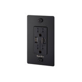 Cross 1G USB A C Duplex Outlet with Logo 4.75 Inch Tall by Buster Punch - NSK-023409