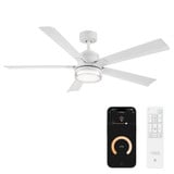 Radiant 5 Blade Ceiling Fan with Light Kit 56 Inch Wide by Modern Forms - FR-D2603-56L