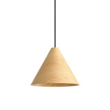 Conique 1 Light Pendant 9.88 Inch Tall and 13 Inch Wide by Golden - 3988-13