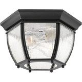 Roman Coach 2 Light 11 Inch Wide Outdoor Flush Mount by Progress - P6019