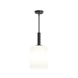 Reines 1 Light Opal Pendant 18 Inch Tall and 9 Inch Wide by Progress - P500516