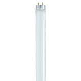 17W T8 Medium Bi Pin Base Bulb 1 Inch Wide and 23.78 Inch Length by Satco - S6524_p
