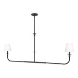 Tova 2 Light Linear Chandelier 23.75 Inch and 63.75 Inch Length by Z Lite - 3049-60L