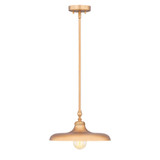 Camden 1 Light Pendant 6.75 Inch Tall and 14 Inch Wide by Z Lite - 2308P14