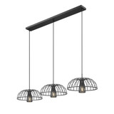 Valencia 3 Light Linear Chandelier 9.75 Inch Tall X 16 Inch Wide by Z Lite - 623P16-3L