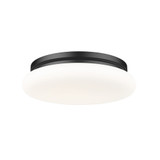 Soleil 40W 1 LED Flush Mount 4.5 Inch Tall and 16 Inch Wide by Z Lite - 1025F16