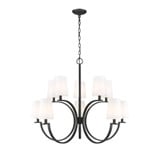 Cordelia 10 Light Chandelier 30.5 Inch Tall and 40 Inch Wide by Z Lite - 2016-10