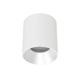 Zoron 15W 1 LED Flood Trimless Round Outdoor Flush Mount 4.25 Inch by WAC - C4RL-FCS