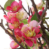 {"pim_id":"208_60230_a4_detail_new_2k","sku":"208_60230","media_type":"media"}
