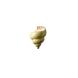 {"pim_id":"11_CER_3700_SEAK_1k","sku":"11_CER-3700","media_type":"media"}