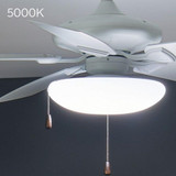 {"pim_id":"147_livingroom_310150mwh_ledlightkit_380980_5000k_overall_night_1a_1k","sku":"147_380981","media_type":"media"}