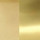 Satin Brass/Polished Brass