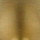 Champagne Bronze
