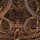 Aged Tortoise Shell